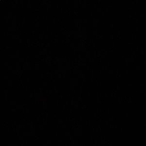 Meet your Posher, Rayah